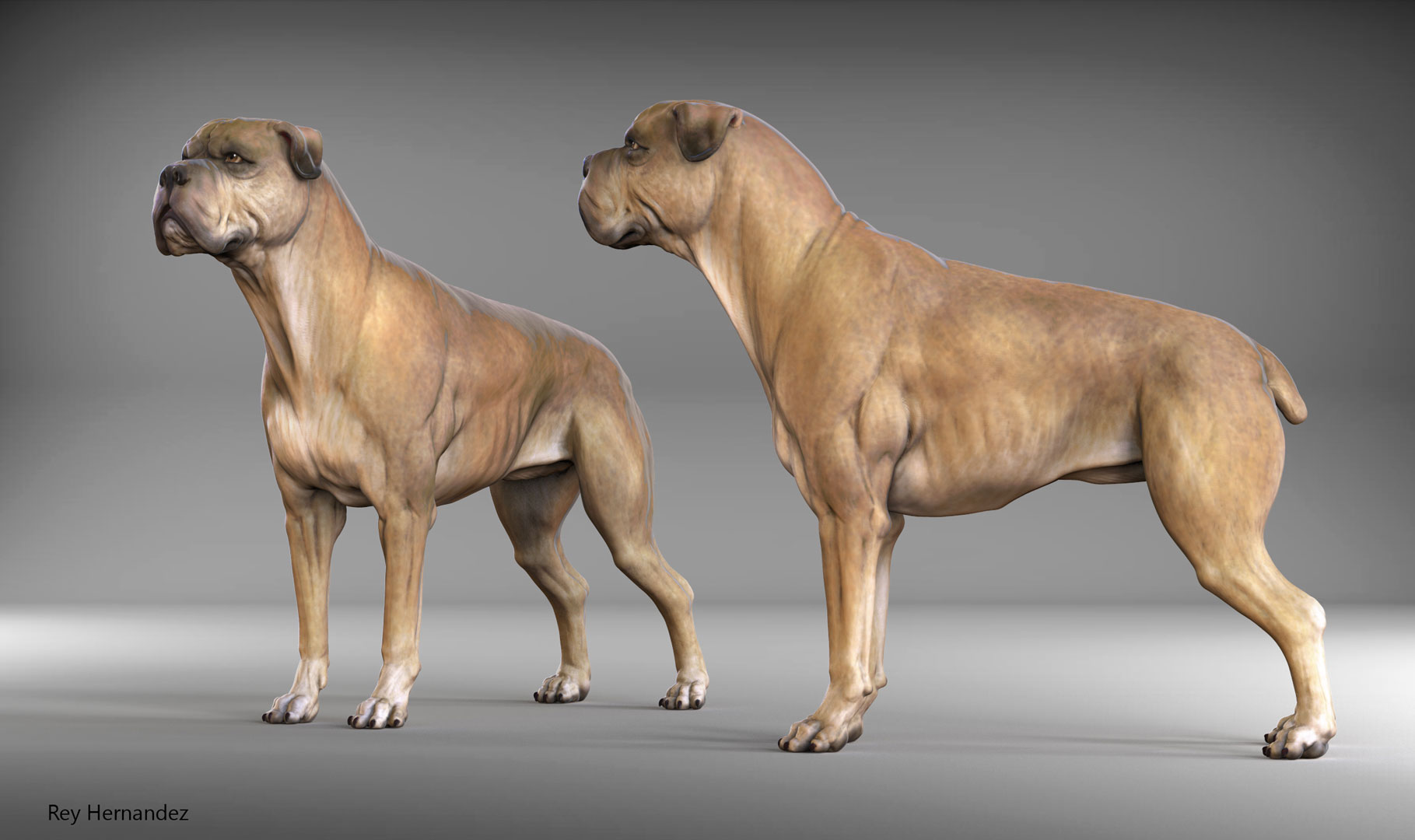 dog_render_rey_hernandez