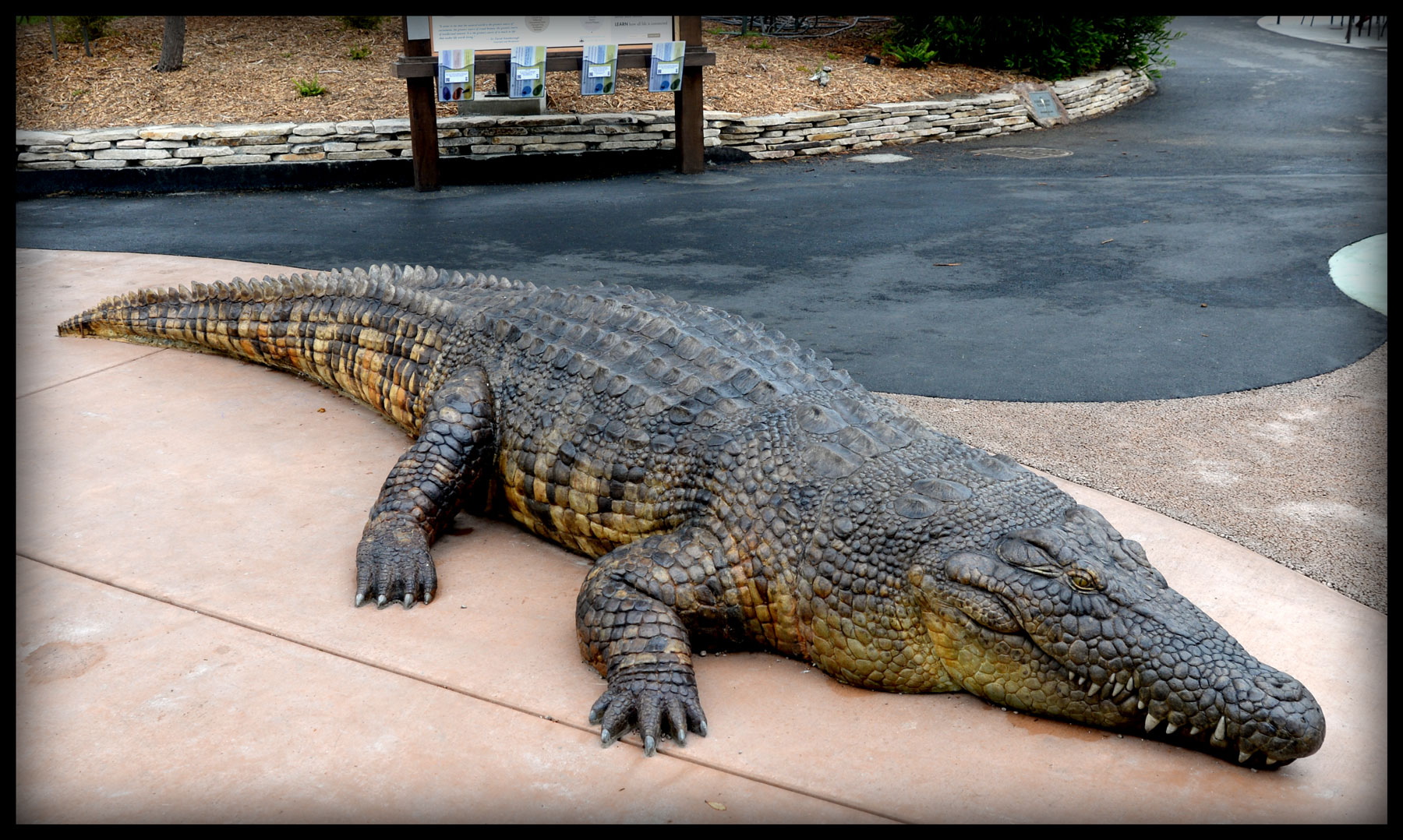 San_Francisco_Zoo_Crocodile_Sculpture_005
