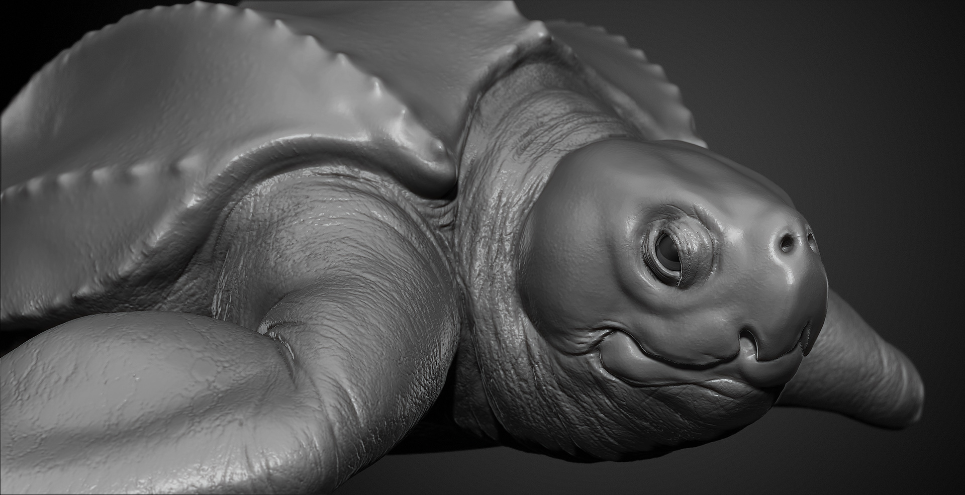 San_Francisco_Zoo_Leatherback_Sea_turtle_Sculpture_003